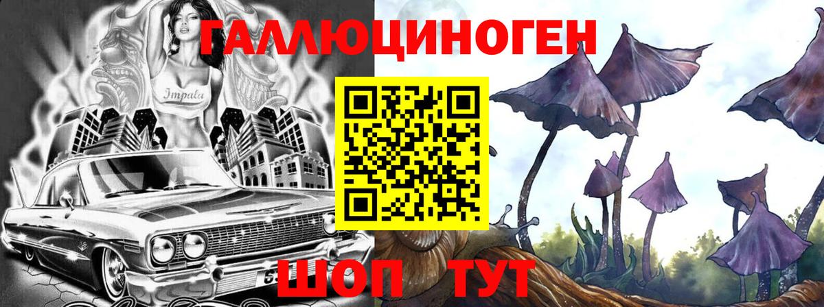 Галлюциногенные грибы Psilocybe Кимры
