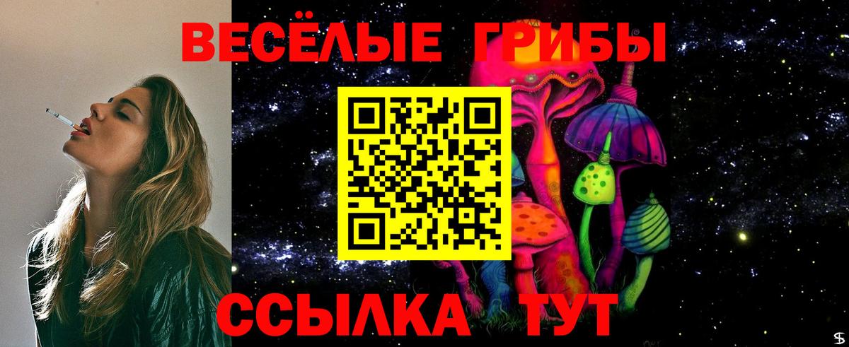 Псилоцибиновые грибы GOLDEN TEACHER  Псилоцибиновые грибы мухоморы  Кимры  Вход с VPN 